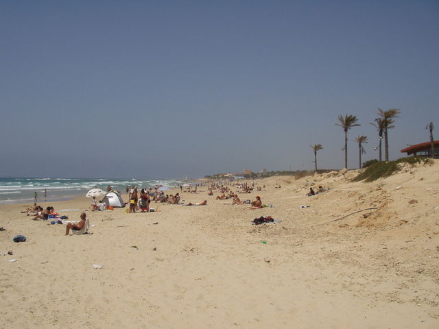 P5290003.JPG