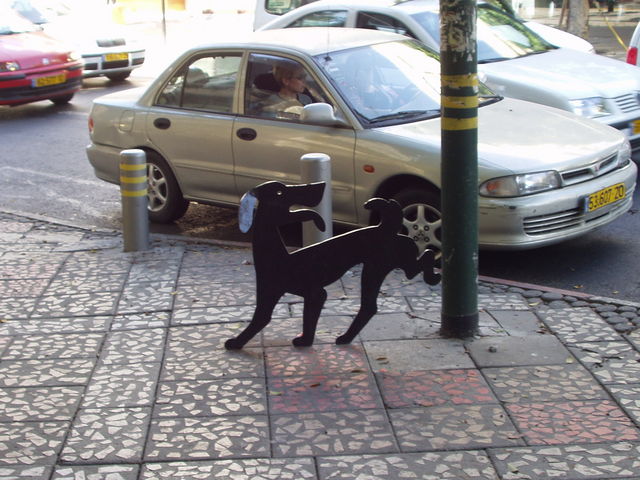 P5210009.JPG