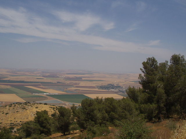 P5220001.JPG