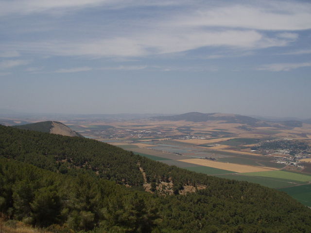 P5220002.JPG