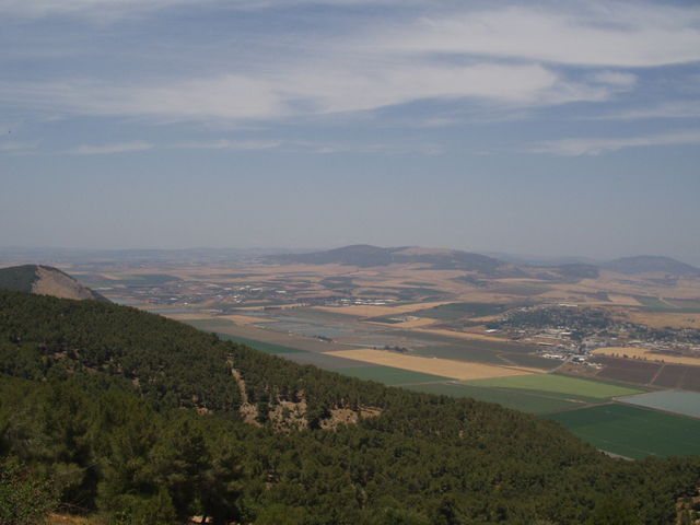 P5220003.JPG