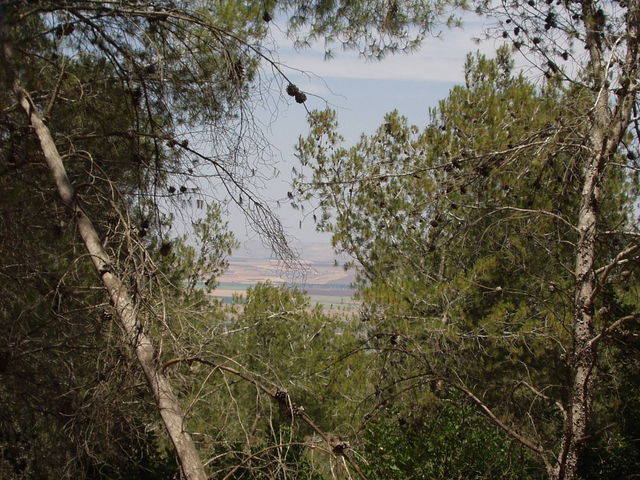 P5220006.JPG