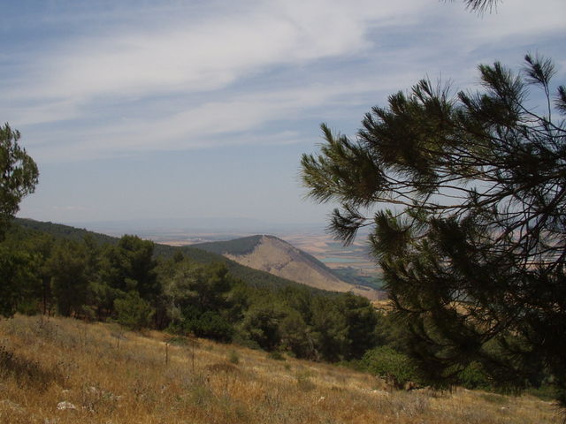P5220010.JPG
