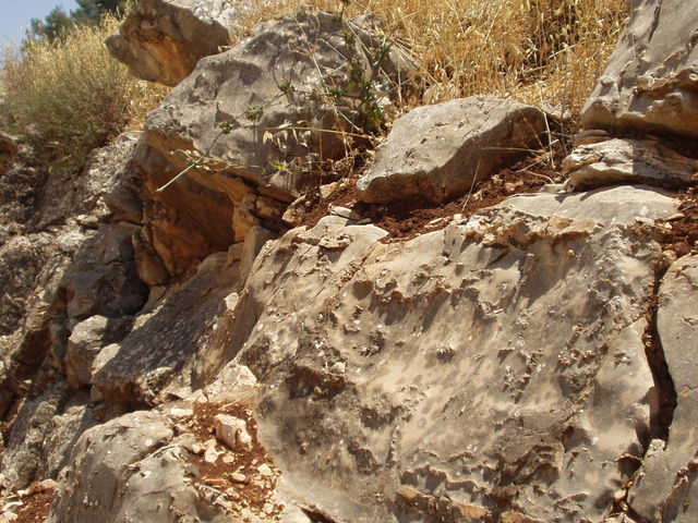 P5220012.JPG