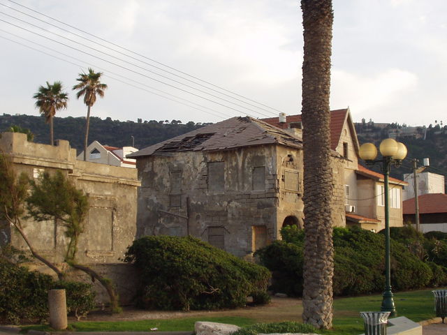 P5260005.JPG