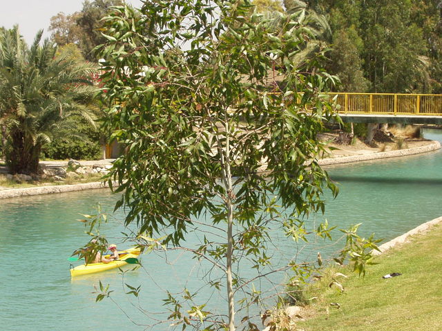 P5220030.JPG