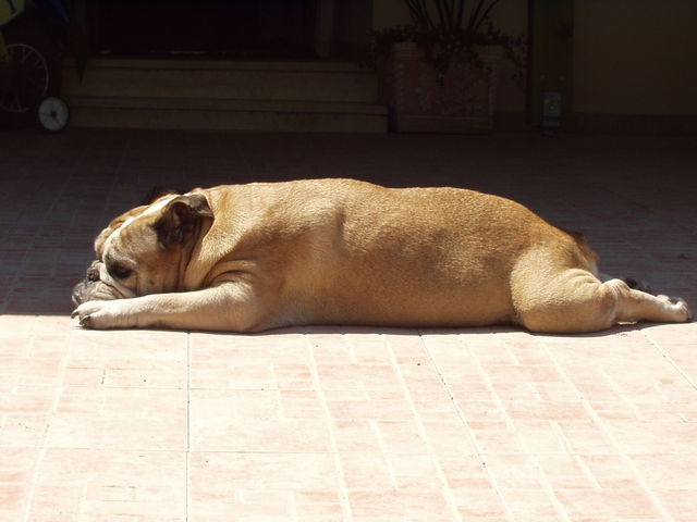 P5220034.JPG